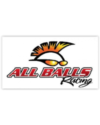 ALL BALLS RACING